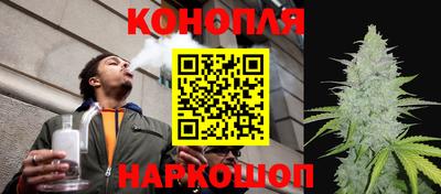 шишки Гагарин