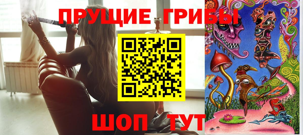 Галлюциногенные грибы MAGIC MUSHROOMS  Вход с VPN  Отрадный 